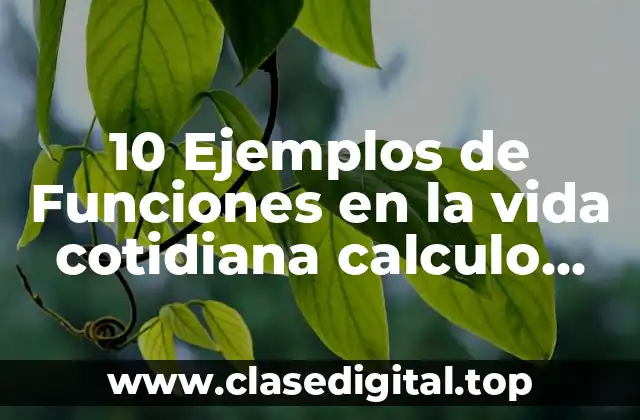 Ejemplos de funciones en la vida cotidiana calculo diferencial