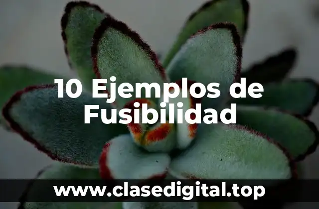 10 Ejemplos de Fusibilidad