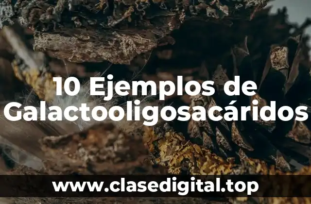 10 Ejemplos de Galactooligosacáridos