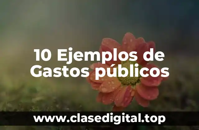 10 Ejemplos de Gastos públicos