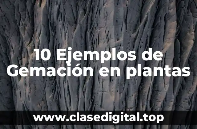 10 Ejemplos de Gemación en plantas