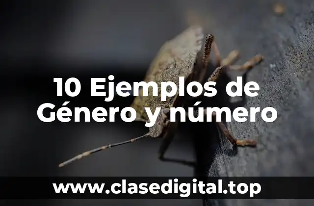 10 Ejemplos de Género y número