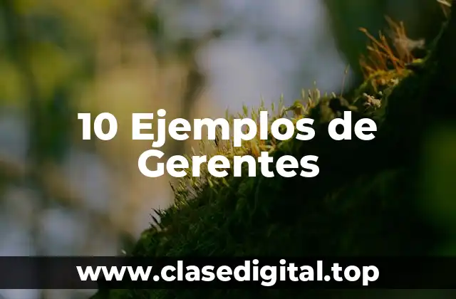 10 Ejemplos de Gerentes