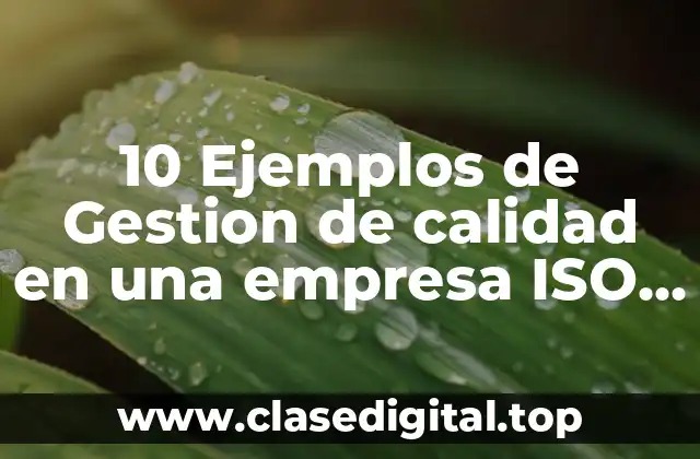10 Ejemplos de Gestion de calidad en una empresa ISO 9001