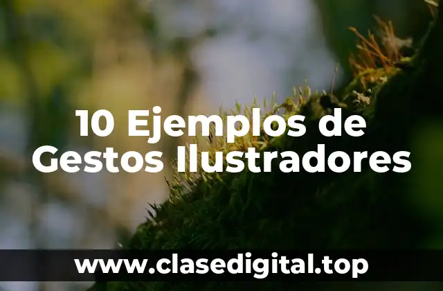 10 Ejemplos de Gestos Ilustradores