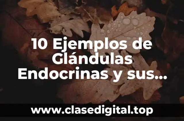 10 Ejemplos de Glándulas Endocrinas y sus Hormonas