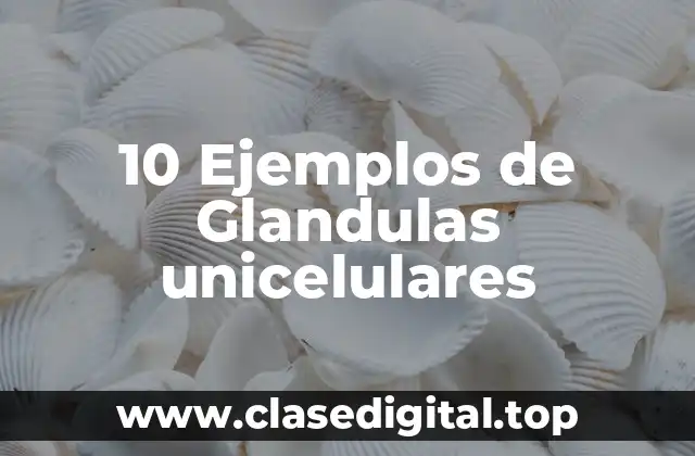 10 Ejemplos de Glandulas unicelulares