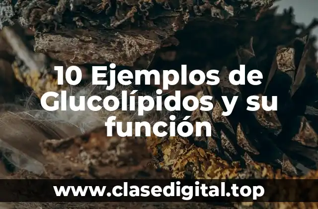 10 Ejemplos de Glucolípidos y su función
