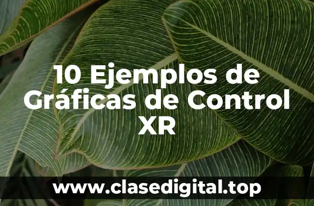 10 Ejemplos de Gráficas de Control XR