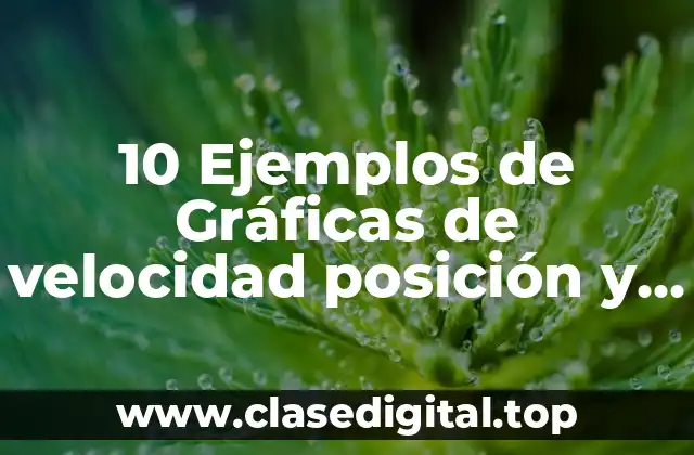 10 Ejemplos de Gráficas de velocidad posición y tiempo