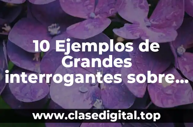 10 Ejemplos de Grandes interrogantes sobre el resguardo de identidad digital