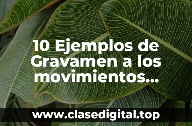 10 Ejemplos de Gravamen a los movimientos financieros