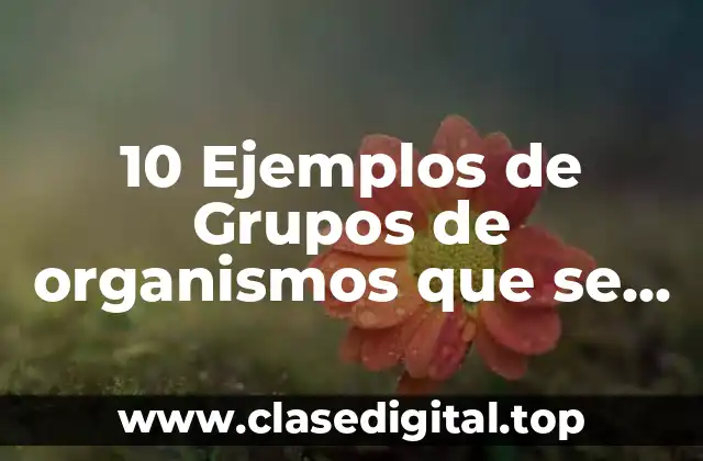 10 Ejemplos de Grupos de organismos que se reproducen asexualmente