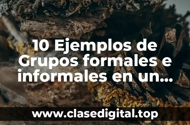 10 Ejemplos de Grupos formales e informales en un centro educativo