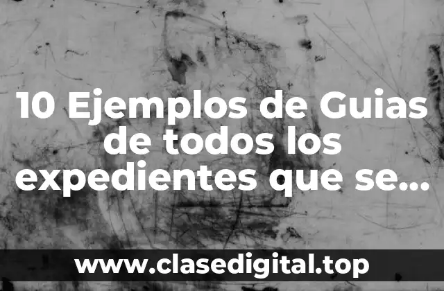 10 Ejemplos de Guias de todos los expedientes que se tienen