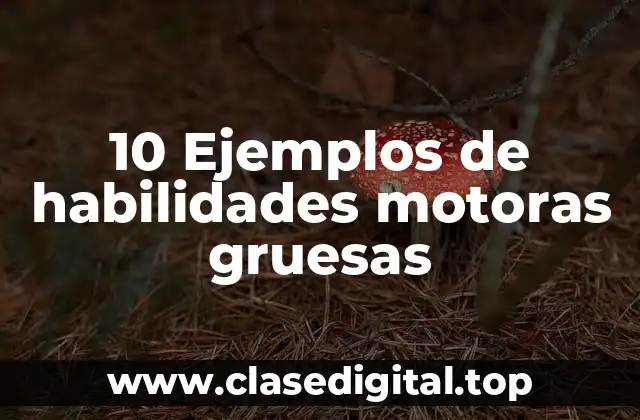 Ejemplos de habilidades motoras gruesas
