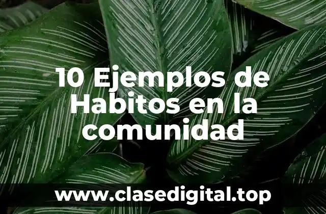 10 Ejemplos de Habitos en la comunidad