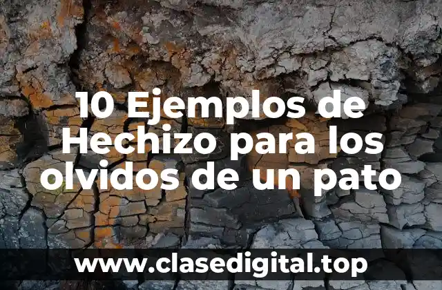 10 Ejemplos de Hechizo para los olvidos de un pato