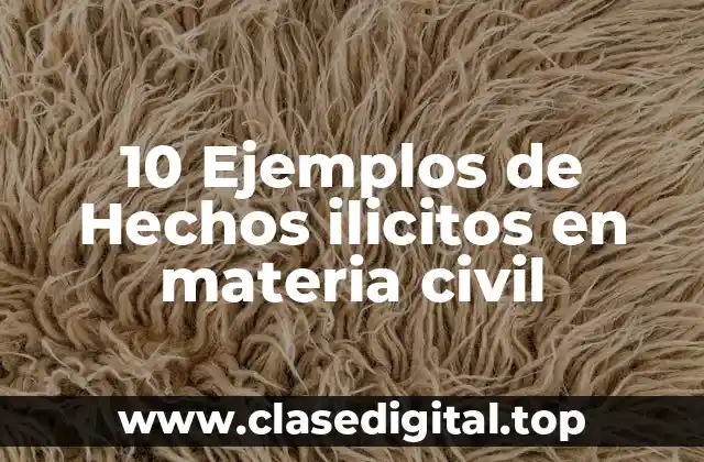 10 Ejemplos de Hechos ilicitos en materia civil