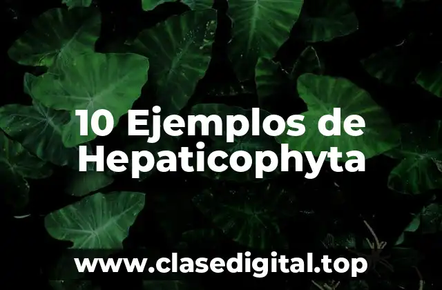 10 Ejemplos de Hepaticophyta