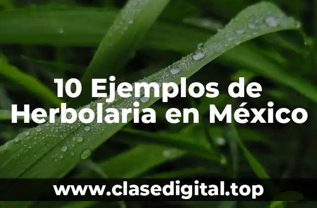 10 Ejemplos de Herbolaria en México