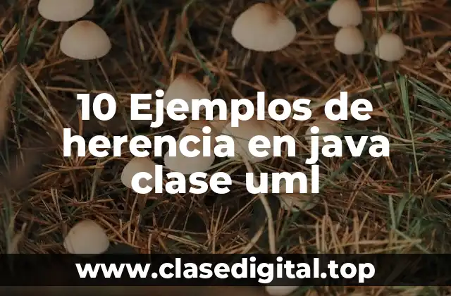 10 Ejemplos de herencia en java clase uml