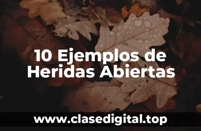 10 Ejemplos de Heridas Abiertas
