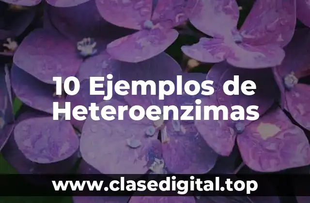 10 Ejemplos de Heteroenzimas