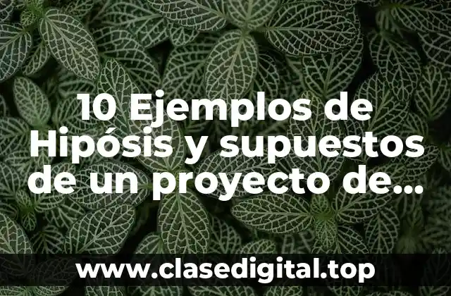 10 Ejemplos de Hipósis y supuestos de un proyecto de investigación