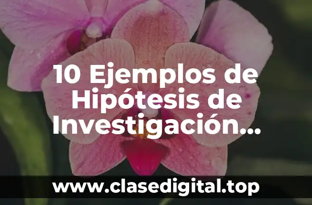 10 Ejemplos de Hipótesis de Investigación Explicativa