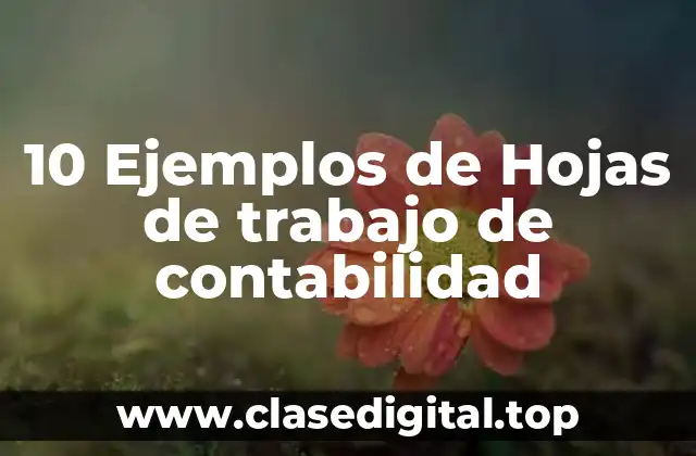 10 Ejemplos de Hojas de trabajo de contabilidad