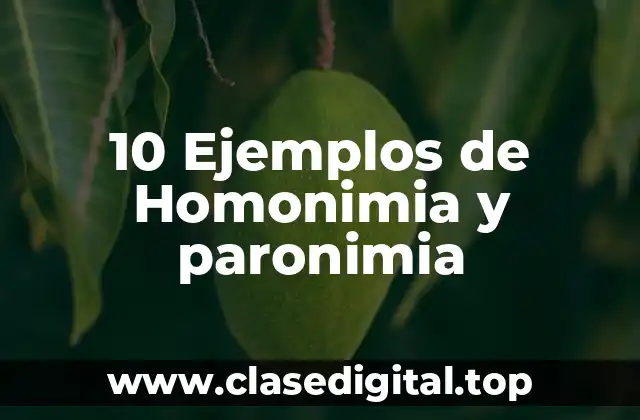 10 Ejemplos de Homonimia y paronimia