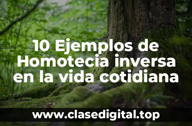 10 Ejemplos de Homotecia inversa en la vida cotidiana