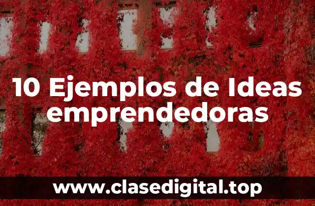 10 Ejemplos de Ideas emprendedoras
