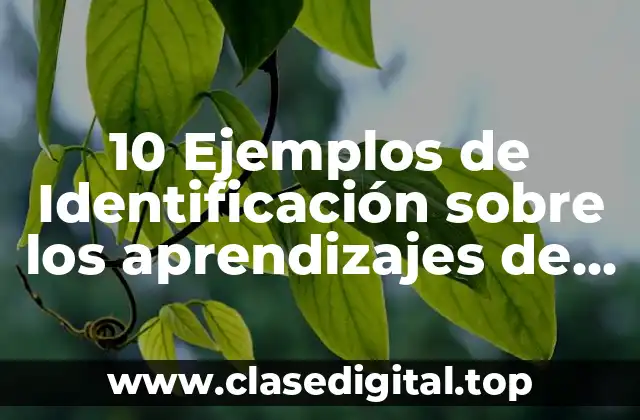 10 Ejemplos de Identificación sobre los aprendizajes de lenguaje y comunicación