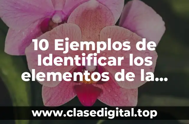 10 Ejemplos de Identificar los elementos de la comunicación