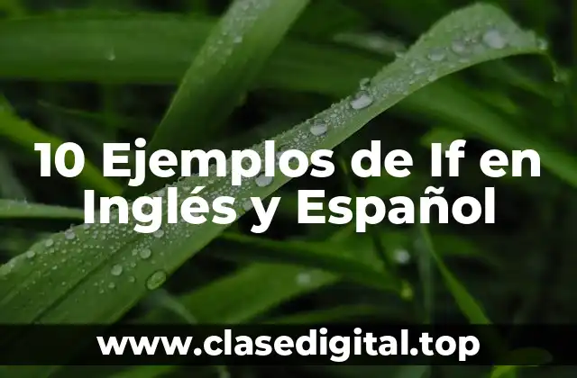 10 Ejemplos de If en Inglés y Español