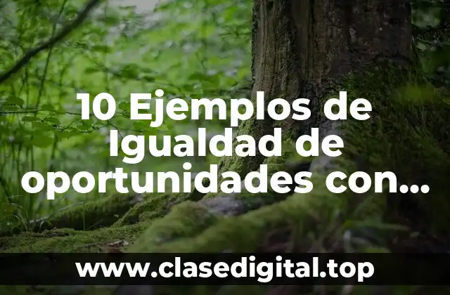 Ejemplos de igualdad de oportunidades con personas con discapacidad