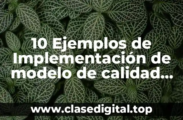 10 Ejemplos de Implementación de modelo de calidad total en una organización