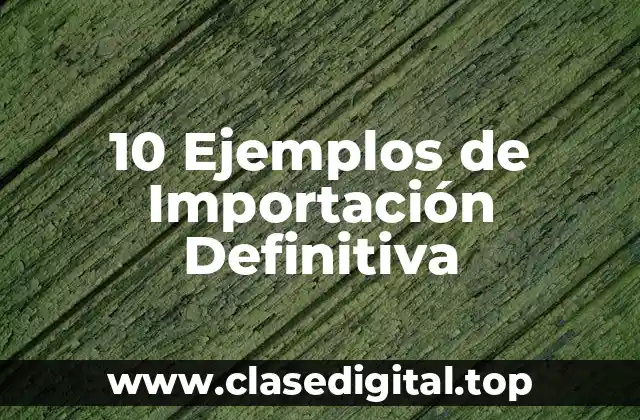 10 Ejemplos de Importación Definitiva
