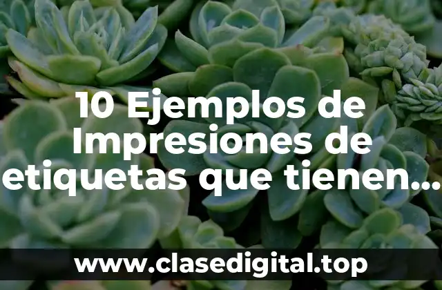 10 Ejemplos de Impresiones de etiquetas que tienen cosas escritas en francés