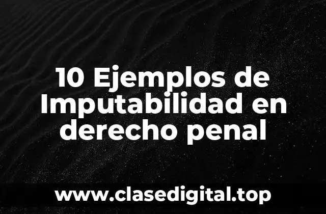 10 Ejemplos de Imputabilidad en derecho penal