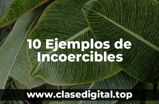 10 Ejemplos de Incoercibles