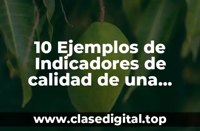 10 Ejemplos de Indicadores de calidad de una empresa