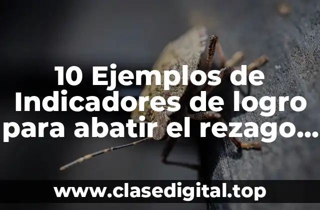10 Ejemplos de Indicadores de logro para abatir el rezago educativo