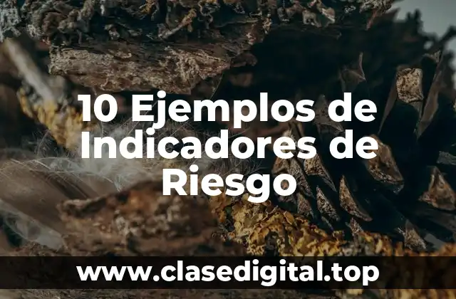 10 Ejemplos de Indicadores de Riesgo