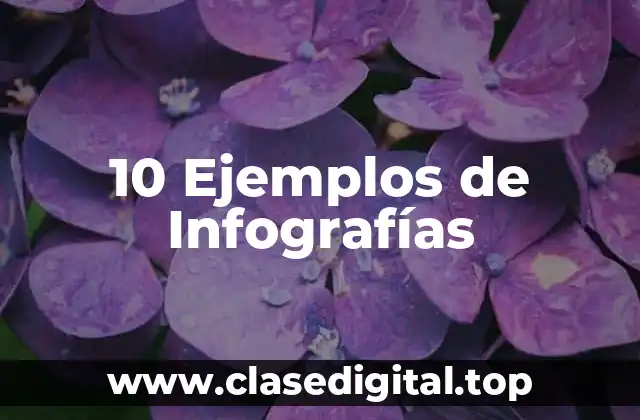10 Ejemplos de Infografías