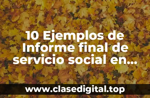 ‍⚕️ Ejemplos de contenido en un informe final de servicio social en enfermería