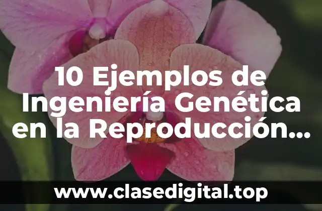 Ejemplos de Ingeniería Genética en la Reproducción Asistida