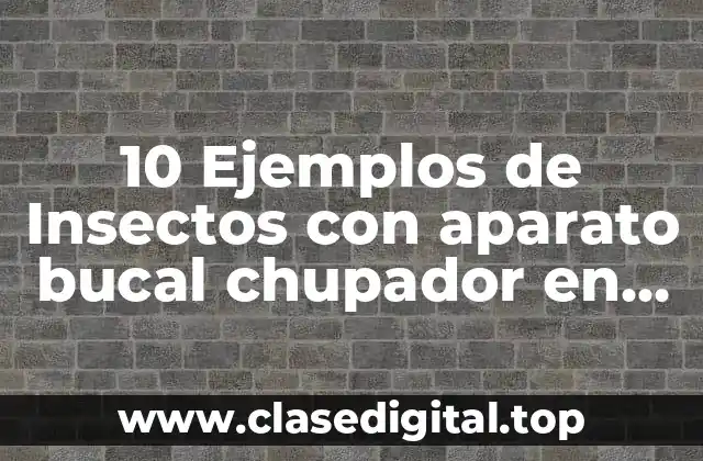 10 Ejemplos de Insectos con aparato bucal chupador en esponja